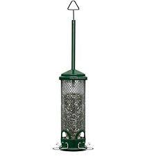 Brome Squirrel Solution200
