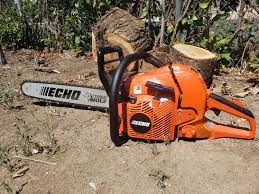 Echo CS 590